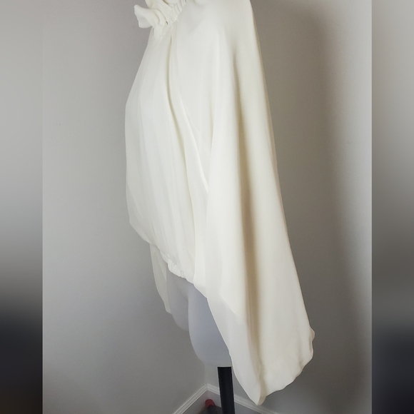 Novalux Ruffled Blouse - Picture 5 of 9